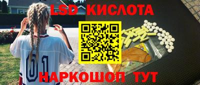 соль ск Новодвинск
